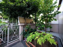 East View Garden (D16), Terrace #538089481